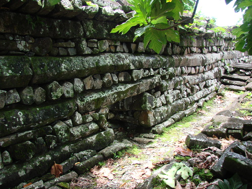 POHNPEI - Pohnpei (2008a) - DSC01894