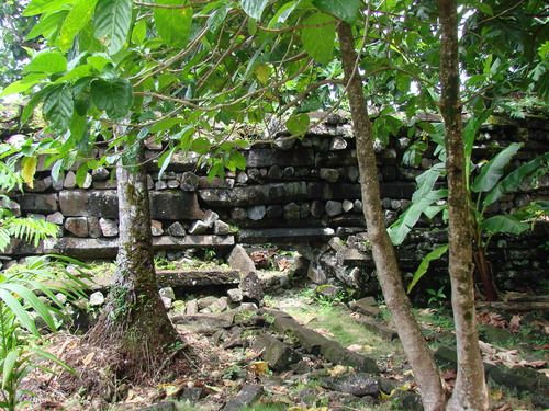 POHNPEI - Pohnpei (2008a) - DSC01906