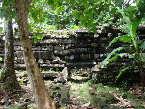 POHNPEI - Pohnpei (2008a) - DSC01907