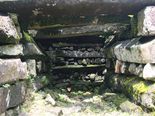 POHNPEI - Pohnpei (2008a) - DSC01908