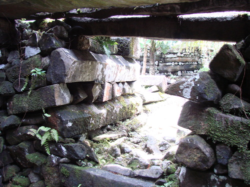 POHNPEI - Pohnpei (2008a) - DSC01914