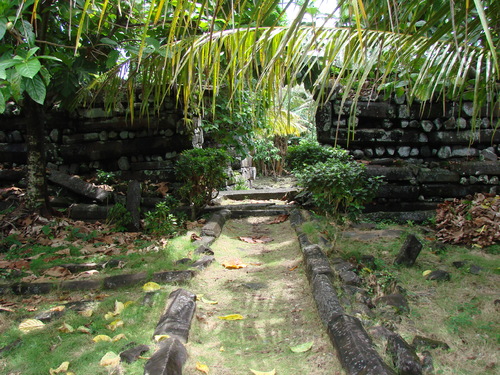 POHNPEI - Pohnpei (2008a) - DSC01916