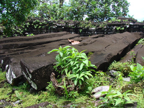 POHNPEI - Pohnpei (2008a) - DSC01917