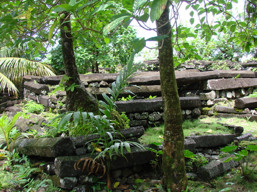 POHNPEI - Pohnpei (2008a) - DSC01918