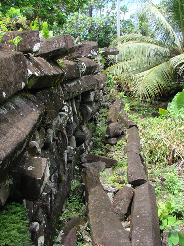 POHNPEI - Pohnpei (2008a) - DSC01922