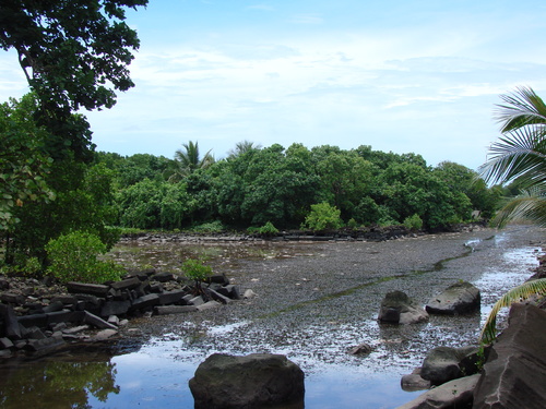 POHNPEI - Pohnpei (2008a) - DSC01929