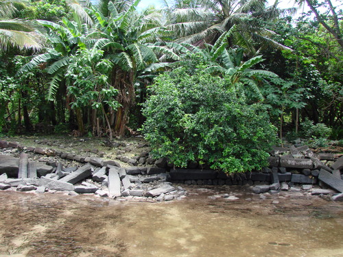 POHNPEI - Pohnpei (2008a) - DSC01930