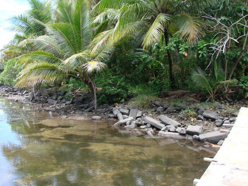 POHNPEI - Pohnpei (2008a) - DSC01935