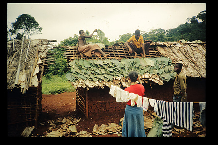 1980〜81　DRC　イトゥリ