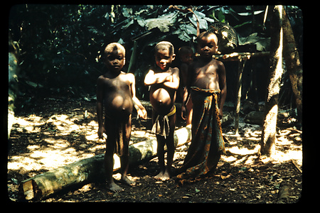 1980〜81　DRC　イトゥリ