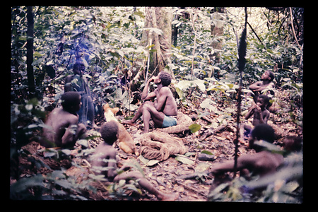 DRC　イトゥリ　セレクション　1974〜89　90
