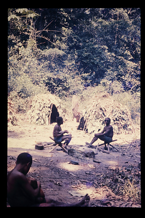 DRC　イトゥリ　セレクション　1974〜89　90
