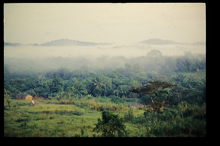 DRC　1985　イトゥリ　