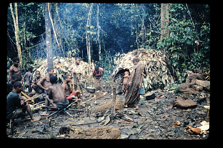 DRC　1987　イトゥリ　（テトゥリ）