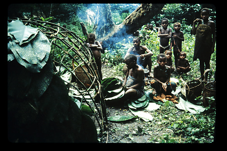 DRC　1987　イトゥリ　（テトゥリ）　1985年のが混入？