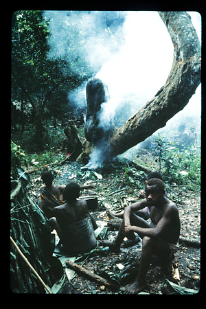 DRC　1987　イトゥリ　（テトゥリ）　1985年のが混入？