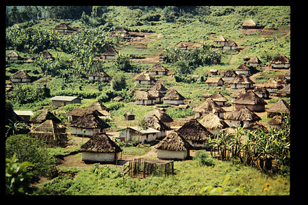 1989　イトゥリ　DRC　(Nduye)　ンデューイ