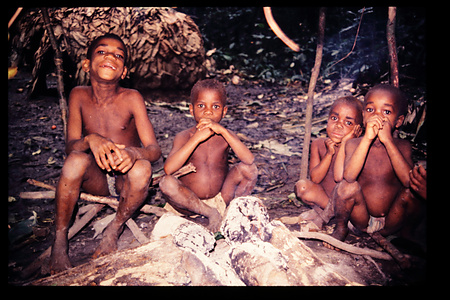 1990　イトゥリ　（ンデューイ）　Nduye　DRC