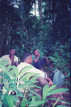Congo-BRZ　1992年　Congo-BRZ　1992　コンゴ　−　ブラザビル