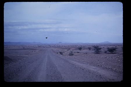 ケニア, 1976