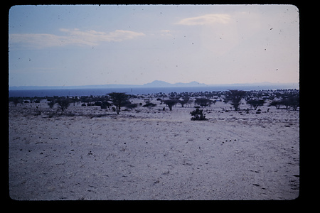 ケニア, 1976