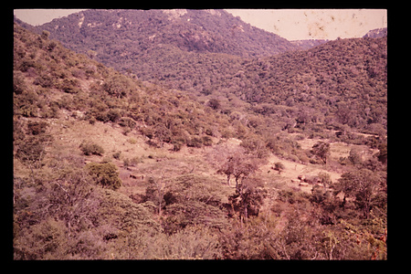 ケニア　1976−1977ケニア　1976〜1977