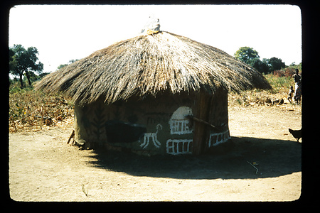 ザンビア　1982-1983ザンビア　1982＋（1983）　予備調査
