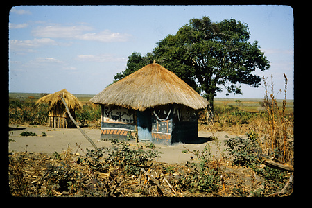ザンビア　1982-1983ザンビア　1982＋（1983）　予備調査