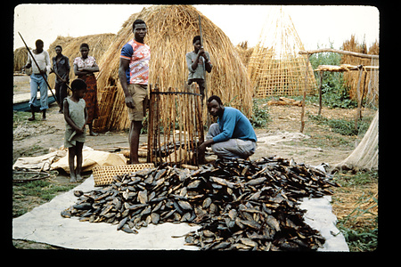 ザンビア　1982-1983ザンビア　1983年　バングウェウル　Bangweulu　ザンビア　1983年　バングウェウル湖