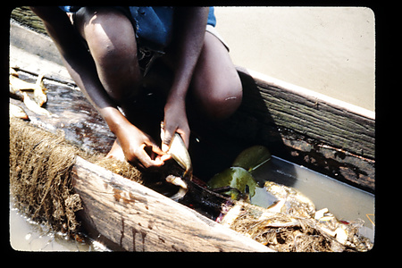 ザンビア　1982-1983ザンビア　1983年　バングウェウル　Bangweulu　ザンビア　1983年　バングウェウル湖