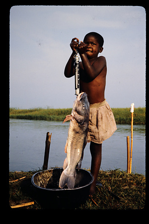 ザンビア　1982-1983ザンビア　1983年　バングウェウル　Bangweulu　ザンビア　1983年　バングウェウル湖