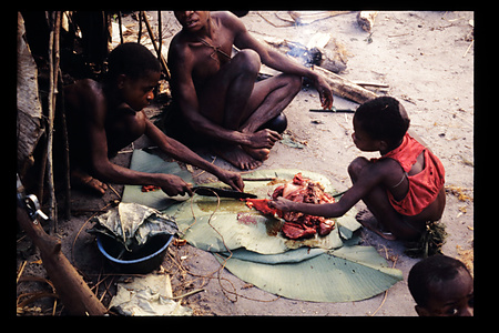 コンゴ・ブラザビル　1989〜1992　リクアラ州1991〜1992　ブラザビル・コンゴ　リクアラ州　・アカ　・ピグミー　・ボバンダ（農耕民）