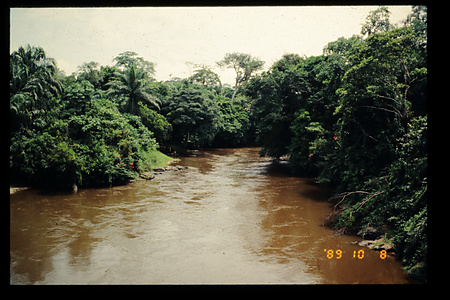 1989　キブ州　イテベロ　DRC