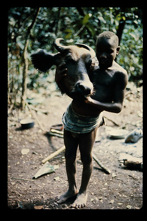 1974〜75年　DRC　イトゥリ　