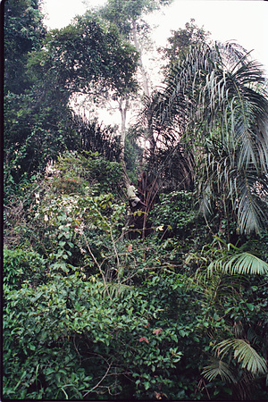 1992　コンゴ　BRZ　Congo　−　ブラザビル　1992年合計10　コンゴ　リクアラ　1992