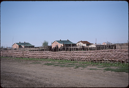 009 - 四子王旗・銀川・ホロンボイル・トメト旗 88/7-8 - hulunbuir037