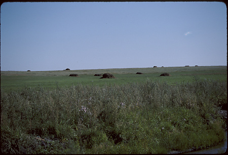 009 - 四子王旗・銀川・ホロンボイル・トメト旗 88/7-8 - hulunbuir042