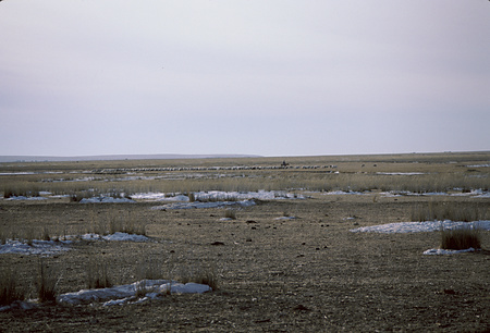 013 - 西ウジムチン旗旧正月ホルツバータルフィルム1988/2 - 013_06_16