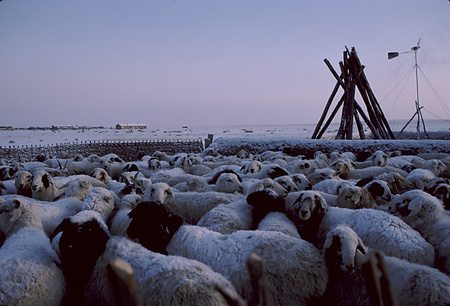013 - 西ウジムチン旗旧正月ホルツバータルフィルム1988/2 - 013_08_15