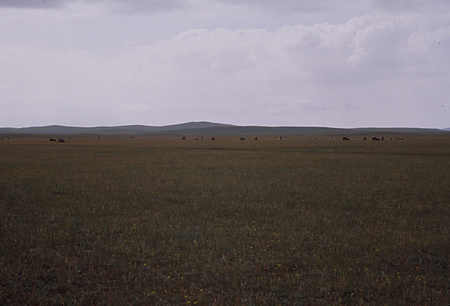 013 - 西ウジムチン旗旧正月ホルツバータルフィルム1988/2 - 013_12_08