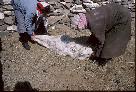 015 - 哺乳補助 - 003