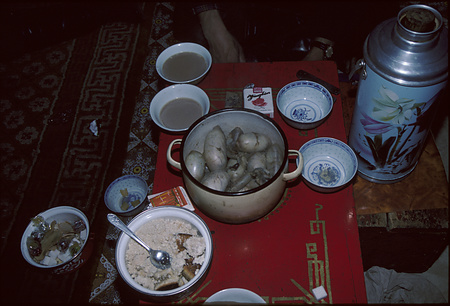 017 - 牛 - 牛去勢-31