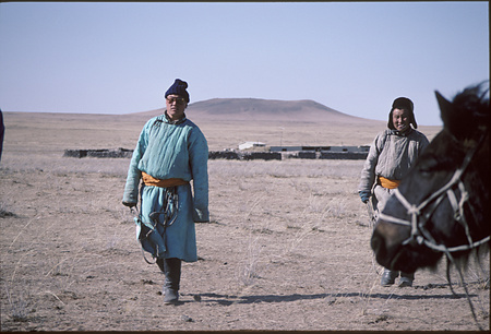018 - たてがみ切り(馬・らくだ) - 馬のたてがみ切り-70
