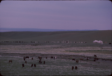 021 - モンゴル人民共和国 - Mongolian People's Republic-067