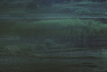 022 - 1984/12-1985/1中国 - 022_04_08