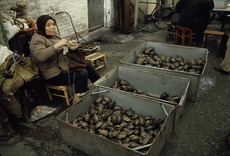 022 - 1984/12-1985/1中国 - 022_05_01