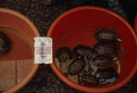 022 - 1984/12-1985/1中国 - 022_05_02