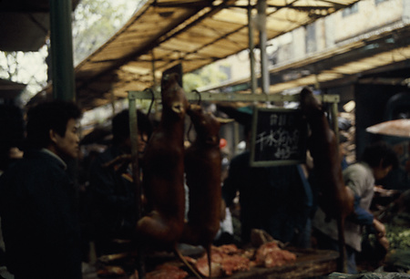 022 - 1984/12-1985/1中国 - 022_05_03