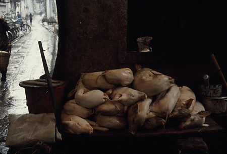 022 - 1984/12-1985/1中国 - 022_05_06