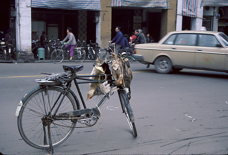 022 - 1984/12-1985/1中国 - 022_05_10